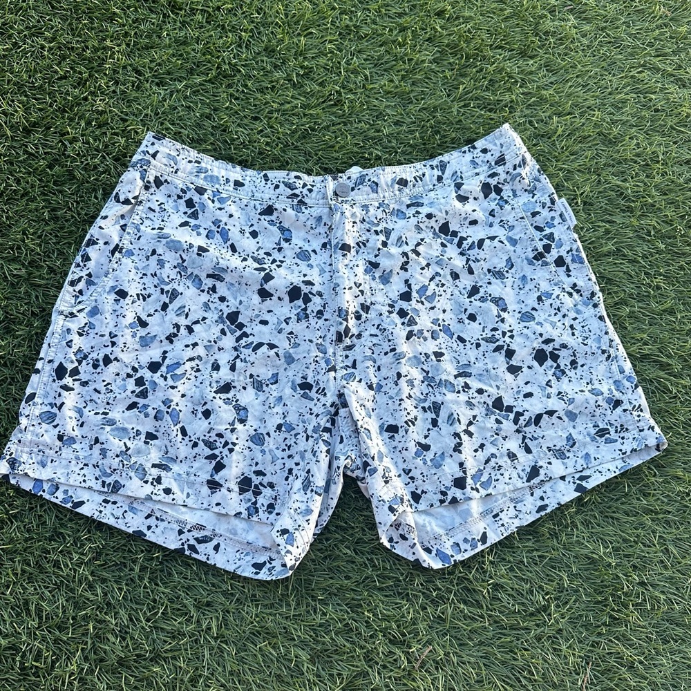 Theory X Onia Swim trunks